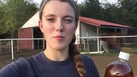 My Favorite DIRT CHEAP HORSE CARE PRODUCTS