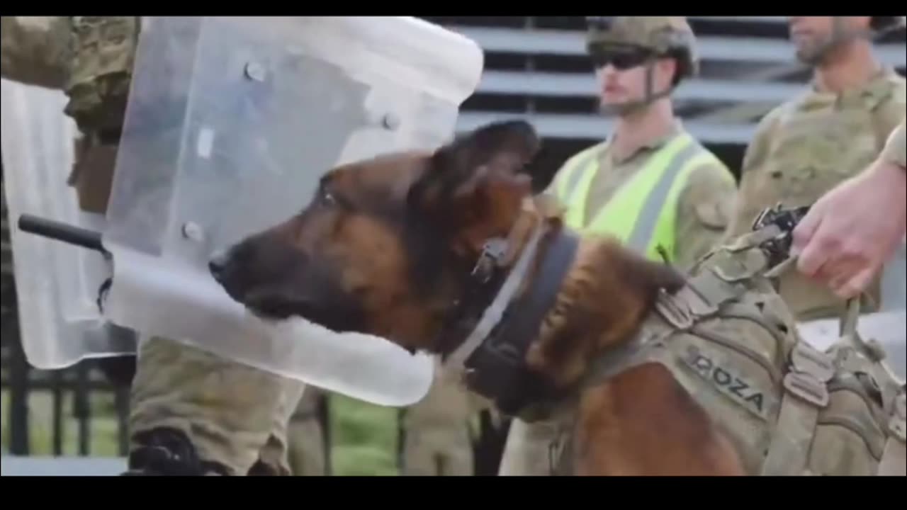 Australian Military Training for Population Crowd Control