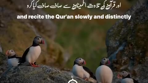 Surah muzamil