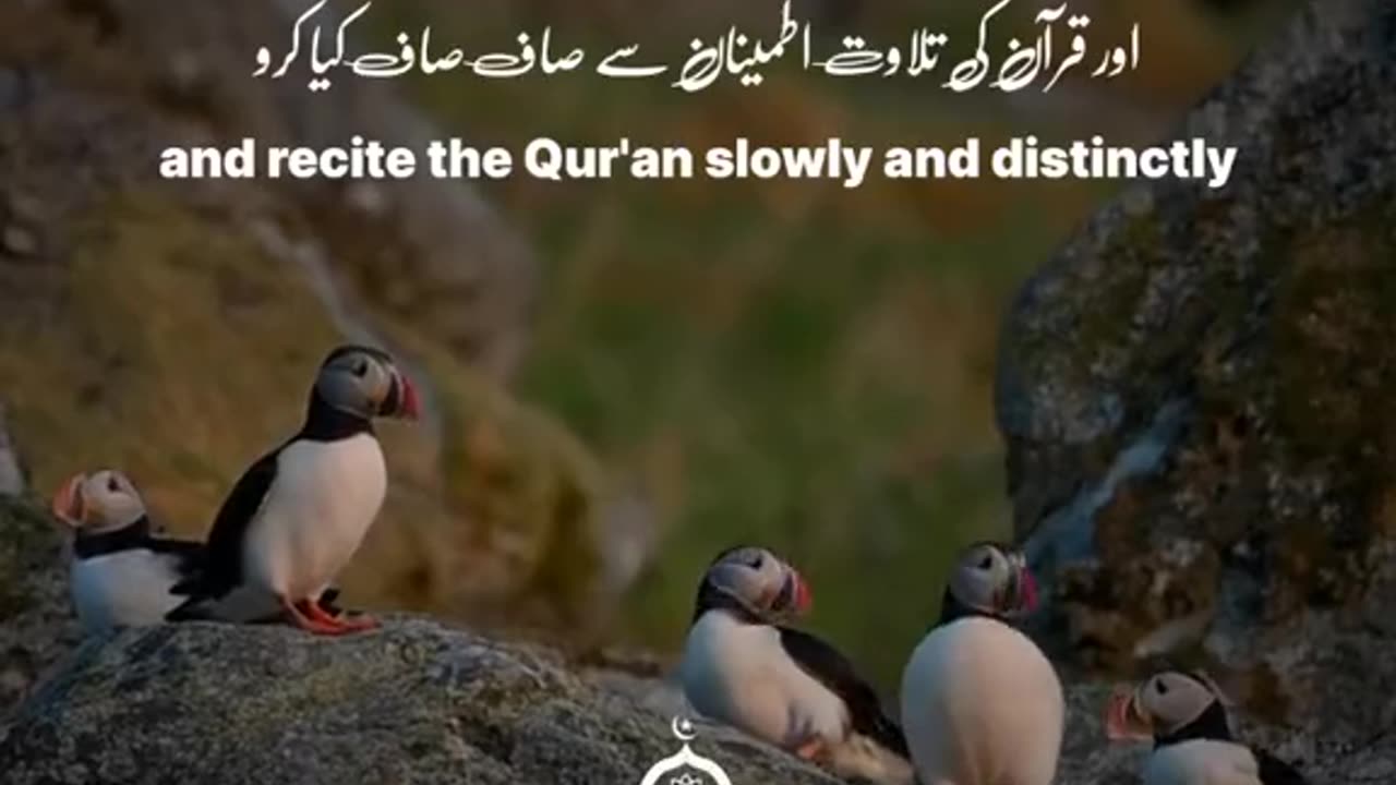 Surah muzamil