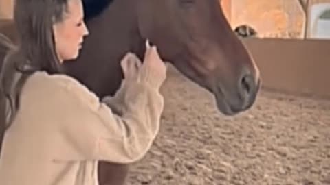 Horse and woman love