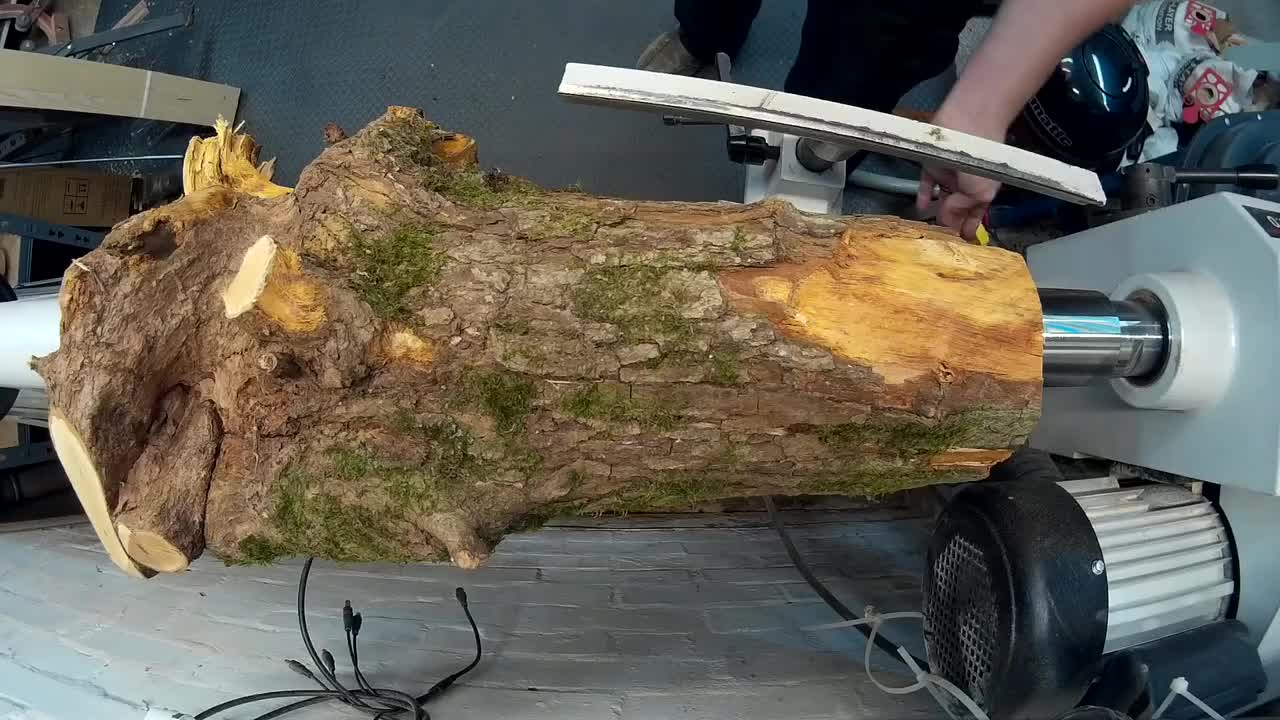 Woodturning - Hawthorn Root Lamp