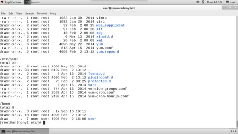 1. Access a Shell Prompt and Issue Commands