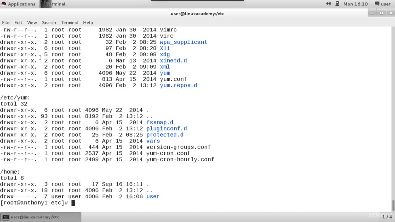 1. Access a Shell Prompt and Issue Commands