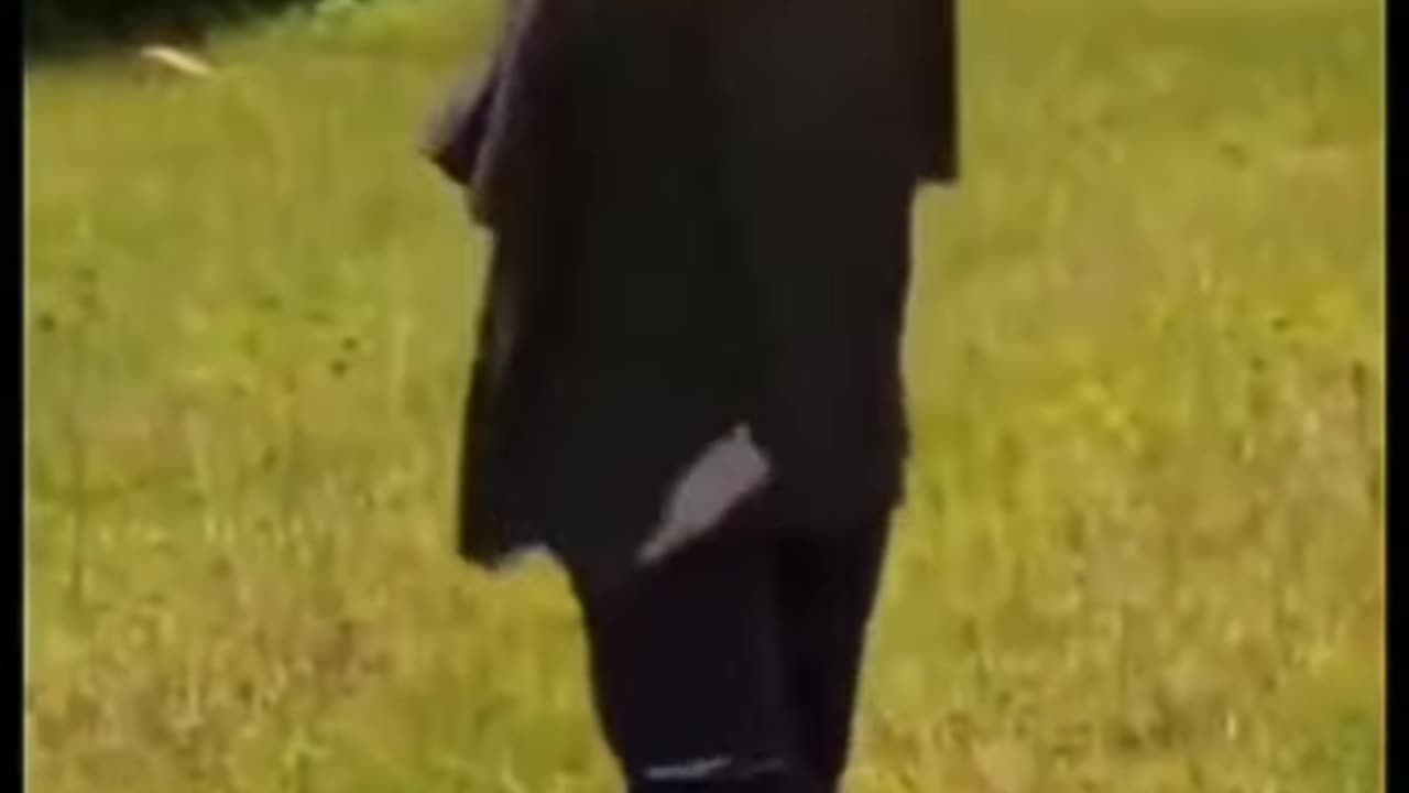 What is your excuse today