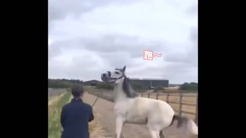 Try not to laugh🫠