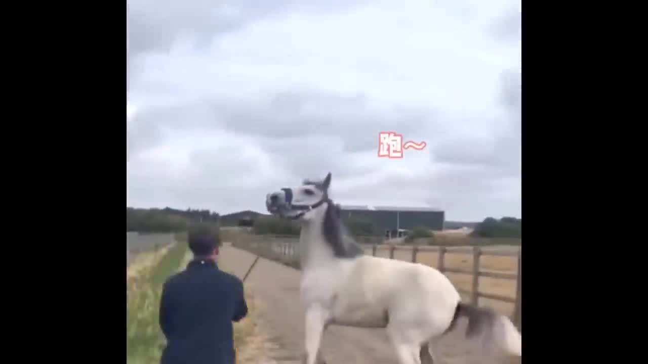 Try not to laugh🫠