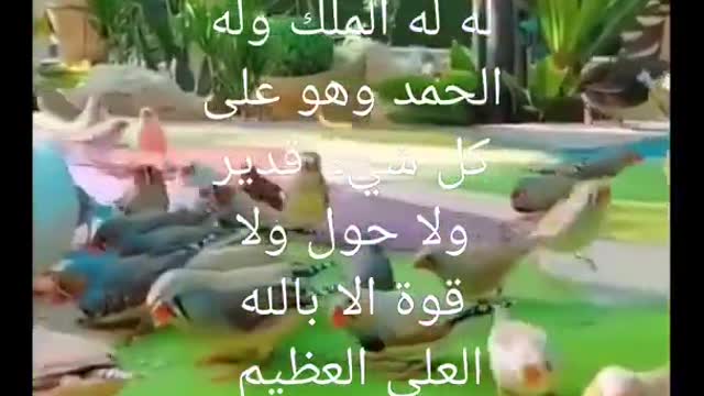 اذا أصبحت فقل أصبحنا وأصبح الملك لله ،اداء صوتي /محمد حمدان