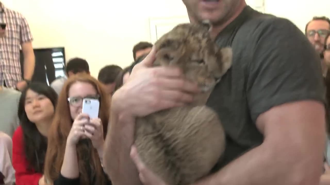 Baby Lion Kisses