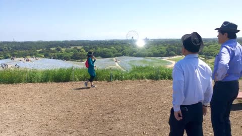 Hitachi Seaside Park Walking Tour - Ibaraki Japan