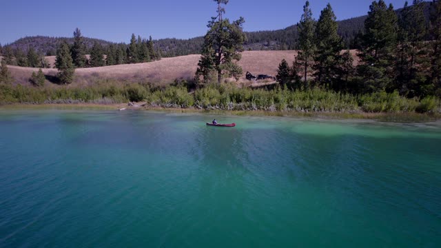 FLY FISHING FOR KOKANEE AND RAINBOW TROUT IN CANADA #shorts