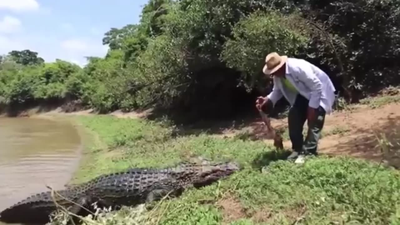 This Is Why You Should Never Be Alone In the Amazon