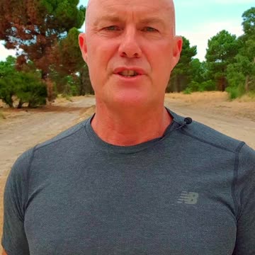 Whole Wheat Bread – The Problem