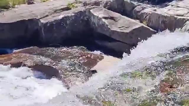 Que a paz da natureza chegue até vc!