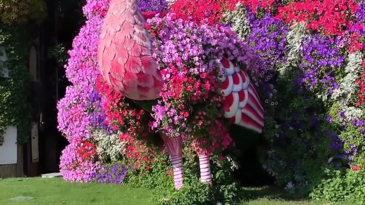 Marical gardan