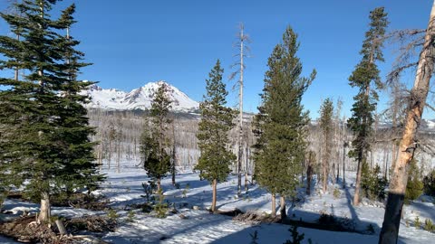 What's Up? – Upper Three Creek Lake Sno-Park – Central Oregon – 4K