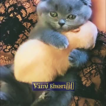 Mutluluğun Resmi🥰