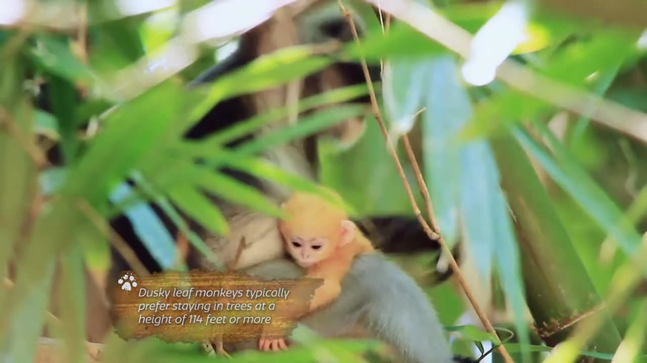 Adorable baby animals beat the heat