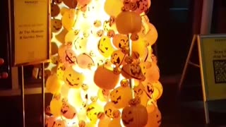 Pumpkin Tree By Itself. Year 2, Part 5