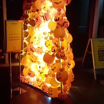 Pumpkin Tree By Itself. Year 2, Part 5