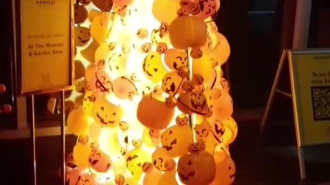 Pumpkin Tree By Itself. Year 2, Part 5