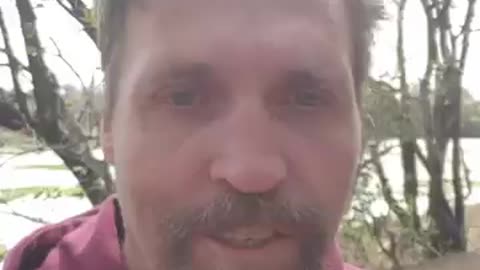 In the bush