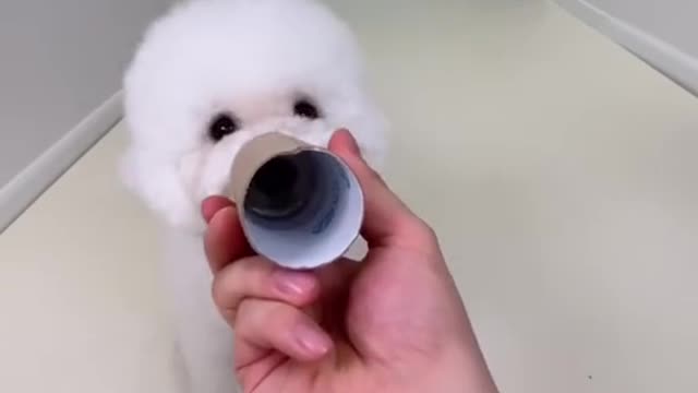 Woah!!