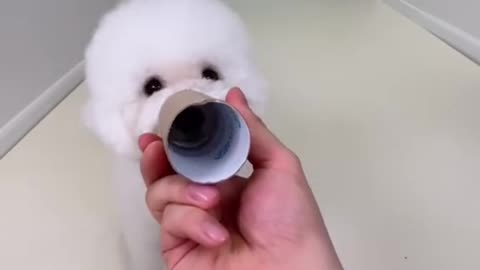 Woah!!
