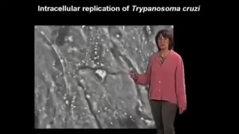 SCIENTISTS CONFIRM GRAPHENE OXIDE IN VACCINES, PFIZER CONTAINS TRYPANOSOMA CRUZI PARASITE.