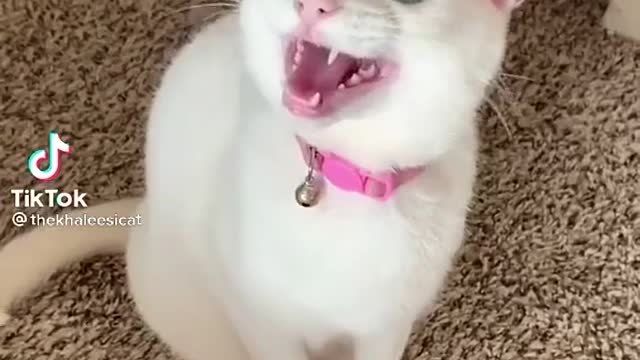 😅