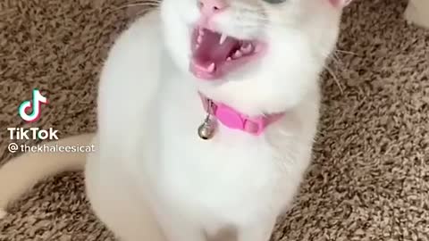 😅