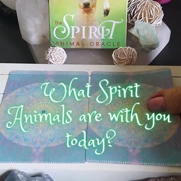 What Spirit Animals Are With You Today? #shorts