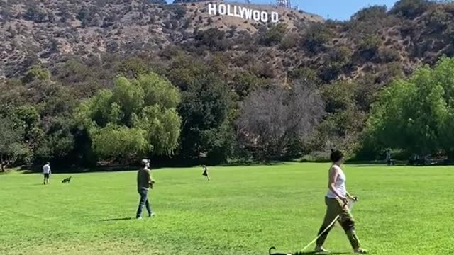 Want to see the Hollywood sign without actually hiking there?