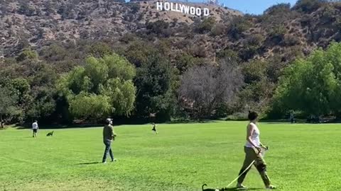 Want to see the Hollywood sign without actually hiking there?