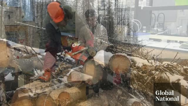 BC scientists, First Nation design decomposing biofoam packaging