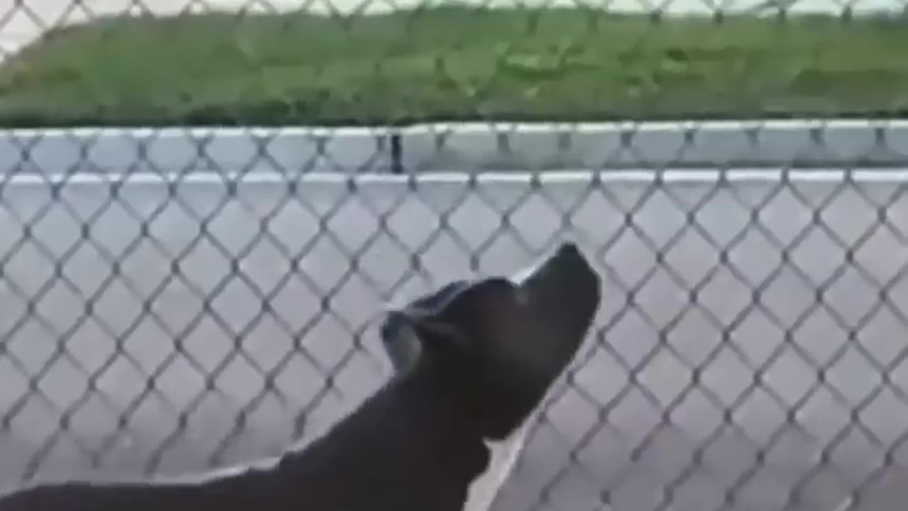 Nice