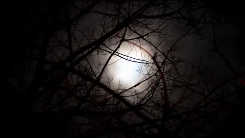 Relaxing Music for Deep Sleep -- Meditation and Soul _2