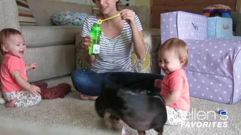 Ellen's favorite Babies Laughing