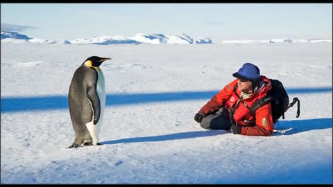 Photographer David C. Schultz with penguins With love