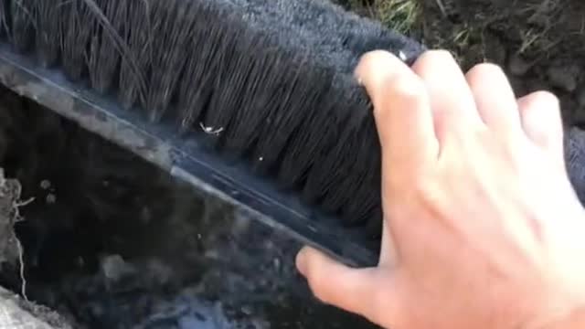 POV: afraid of sink holes and found a sink hole in my yard