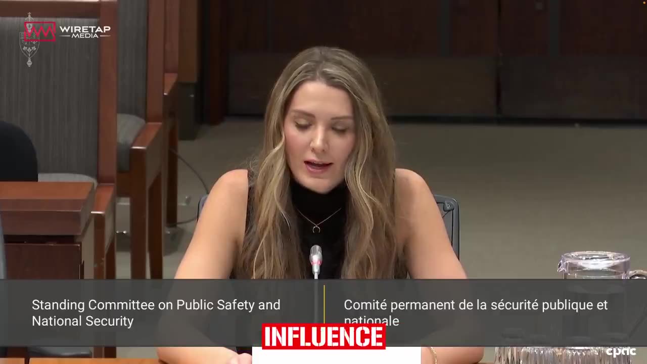 Lauren Southern makes the Canadian Government look foolish in epic testimony