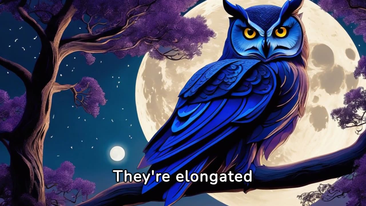 "Silent Hunters of the Night: The Enigmatic World of Owls"