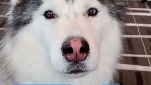 Max has some advice for you...