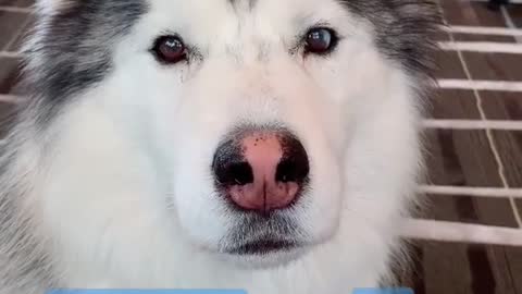 Max has some advice for you...