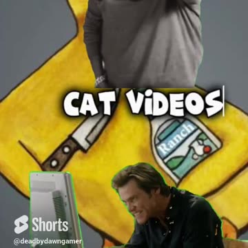 Cat videos