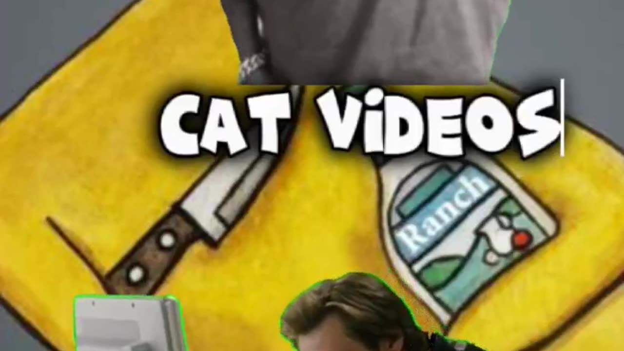 Cat videos