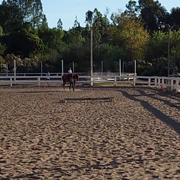 Learning the quarter horse