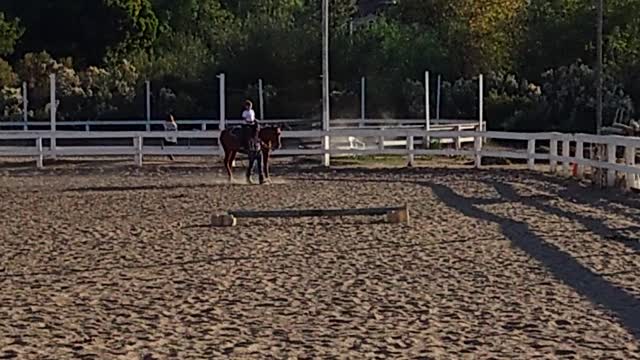 Learning the quarter horse