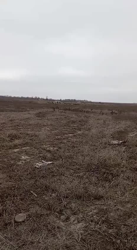 Russian Howitzer Turns to Flowers