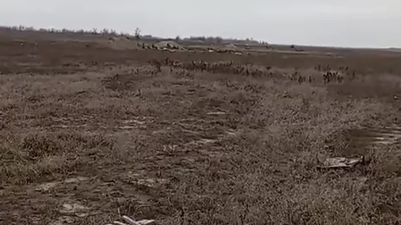 Russian Howitzer Turns to Flowers